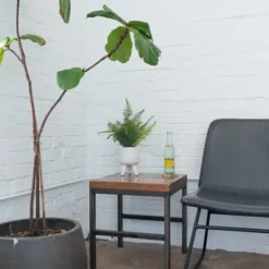 Kirkland's Home Desktop Palm Plant In White Planter- Arrangements & Greenery