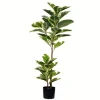 Kirkland's Home Dieffenbachia Tree In Black Planter- Trees & Topiaries