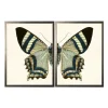 Kirkland's Home Diptych Butterfly Framed Art Print, Set Of 2- Framed Art