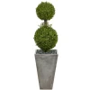 Kirkland's Home Double Ball Boxwood Topiary In River Rock Planter- Trees & Topiaries