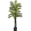 Kirkland's Home Double Robellini Palm Uv Resistant Tree- Trees & Topiaries