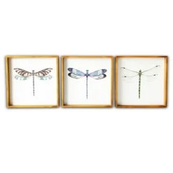 Kirkland's Home Dragonfly Framed Art Prints, Set Of 3- Framed Art
