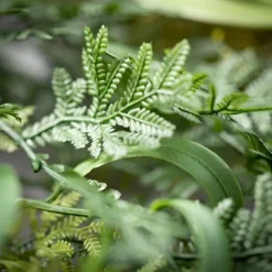Kirkland's Home Draping Fern Wreath, 27 In.- Wreaths