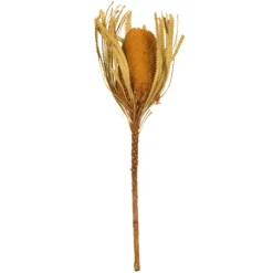 Kirkland's Home Dried And Dyed Jumbo Banksia Stems, Set Of 3- Stems & Bouquets