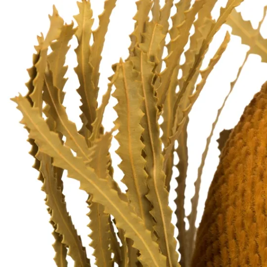 Kirkland's Home Dried And Dyed Jumbo Banksia Stems, Set Of 3- Stems & Bouquets