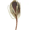 Kirkland's Home Dried Jumbo Banksia Stems, Set Of 3- Stems & Bouquets