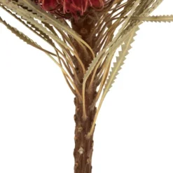 Kirkland's Home Dried Jumbo Banksia Stems, Set Of 3- Stems & Bouquets