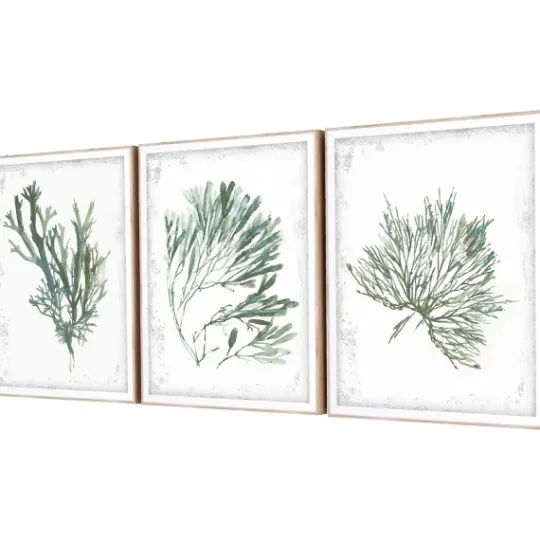 Kirkland's Home Emerald Coral I 3-Pc. Framed Art Print Set- Framed Art