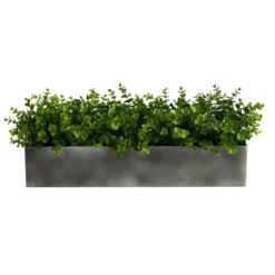 Kirkland's Home Eucalyptus Arrangement In Gray Planter Box- Arrangements & Greenery