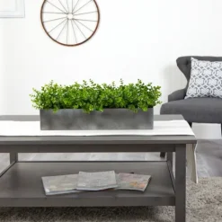 Kirkland's Home Eucalyptus Arrangement In Gray Planter Box- Arrangements & Greenery