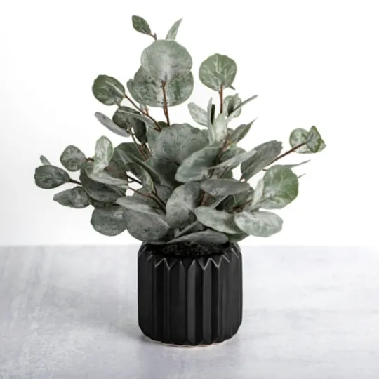 Kirkland's Home Eucalyptus Arrangement In Black Planter- Arrangements & Greenery