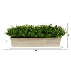 Kirkland's Home Eucalyptus Arrangement In Wide Wooden Planter- Arrangements & Greenery