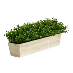 Kirkland's Home Eucalyptus Arrangement In Wide Wooden Planter- Arrangements & Greenery