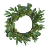 Kirkland's Home Eucalyptus Berry Wreath, 22 In.- Wreaths