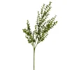 Kirkland's Home Eucalyptus Bushes, Set Of 4- Stems & Bouquets