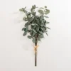 Kirkland's Home Eucalyptus Leaf Bundles, Set Of 3- Stems & Bouquets