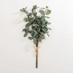 Kirkland's Home Eucalyptus Leaf Bundles, Set Of 3- Stems & Bouquets