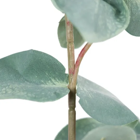 Kirkland's Home Eucalyptus Sprays, Set Of 3- Stems & Bouquets