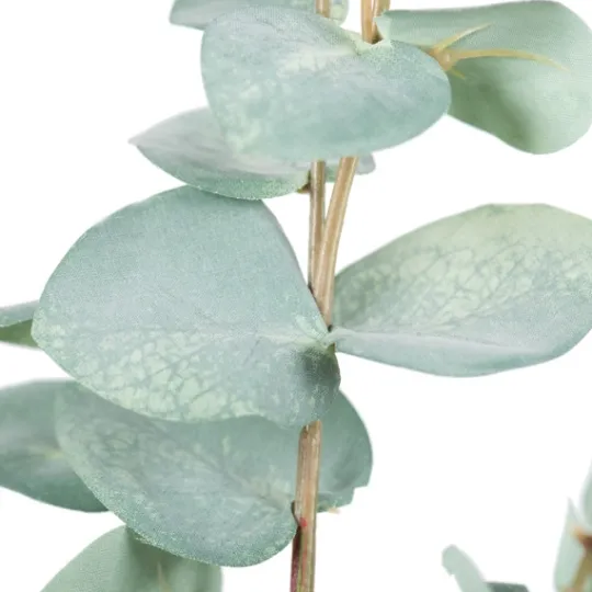Kirkland's Home Eucalyptus Sprays, Set Of 3- Stems & Bouquets