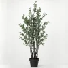 Kirkland's Home Eucalyptus Tree In Black Planter- Trees & Topiaries