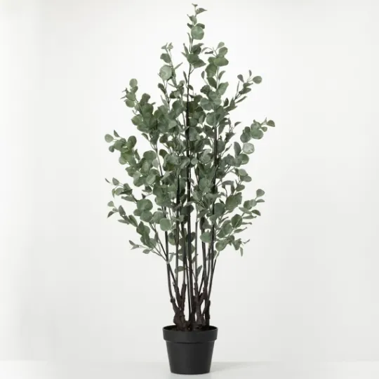Kirkland's Home Eucalyptus Tree In Black Planter- Trees & Topiaries