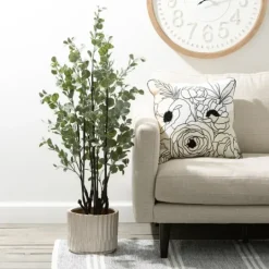Kirkland's Home Eucalyptus Tree In Black Planter- Trees & Topiaries