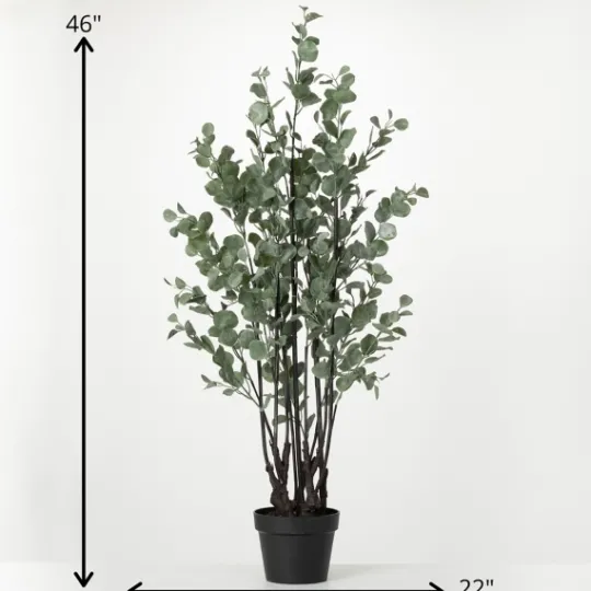 Kirkland's Home Eucalyptus Tree In Black Planter- Trees & Topiaries