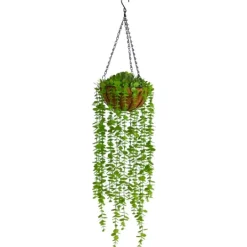 Kirkland's Home Eucalyptus Vines Hanging Basket- Arrangements & Greenery
