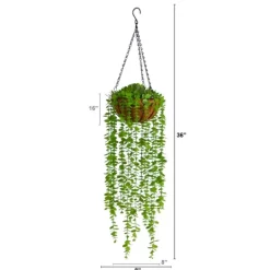 Kirkland's Home Eucalyptus Vines Hanging Basket- Arrangements & Greenery