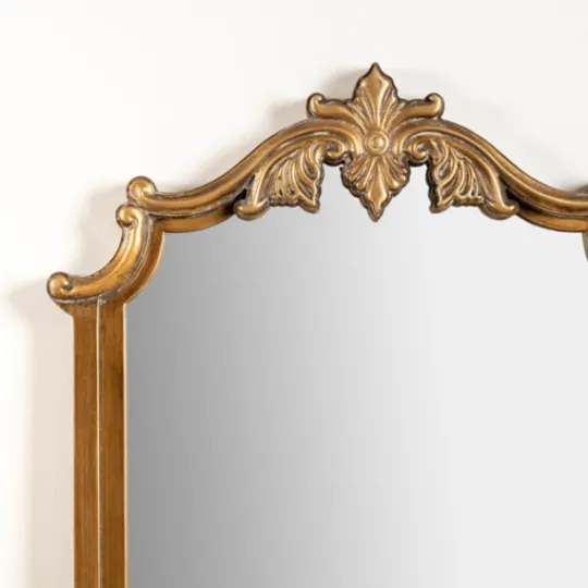 Kirkland's Home Evelyn Antique Gold Leaner Mirror- Full Length & Floor Mirrors