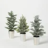 Kirkland's Home Evergreen Trees In Metallic Planters, Set Of 3- Trees & Topiaries