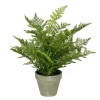 Kirkland's Home Fern Arrangement In Paper Pot- Arrangements & Greenery