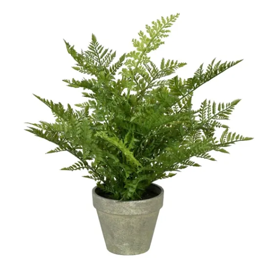Kirkland's Home Fern Arrangement In Paper Pot- Arrangements & Greenery