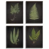 Kirkland's Home Fern Framed Art Prints, Set Of 4- Framed Art