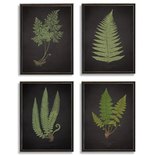 Kirkland's Home Fern Framed Art Prints, Set Of 4- Framed Art