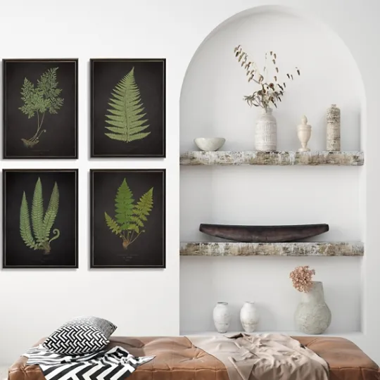 Kirkland's Home Fern Framed Art Prints, Set Of 4- Framed Art