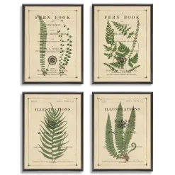 Kirkland's Home Fern Illustrations Framed Art Prints, Set Of 4- Framed Art