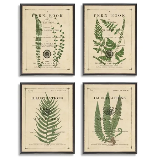 Kirkland's Home Fern Illustrations Framed Art Prints, Set Of 4- Framed Art