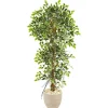 Kirkland's Home Ficus Tree In Sandstone Planter- Trees & Topiaries