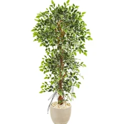 Kirkland's Home Ficus Tree In Sandstone Planter- Trees & Topiaries