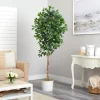 Kirkland's Home Ficus Tree With Moss In White Tin Planter- Trees & Topiaries