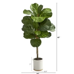 Kirkland's Home Fiddle Leaf Fig In White Ceramic Planter, 42 In.- Trees & Topiaries