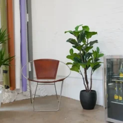Kirkland's Home Fiddle Leaf Fig Tree In Black Wood Pot- Trees & Topiaries