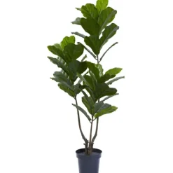 Kirkland's Home Fiddle Uv Resistant Tree- Trees & Topiaries