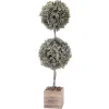 Kirkland's Home Flocked Double Ball Boxwood Bush In Wood Box- Trees & Topiaries