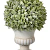 Kirkland's Home Flocked Sage Ball 11 In. Urn Arrangement, Set Of 2- Trees & Topiaries