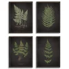 Kirkland's Home Four Ferns Framed Art Prints, Set Of 4- Framed Art