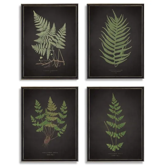 Kirkland's Home Four Ferns Framed Art Prints, Set Of 4- Framed Art