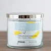 Kirkland's Home Fresh Rain Triple Wick Jar Candle- Candles