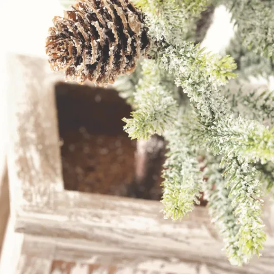 Kirkland's Home Frosted Pinecone Tree In Whitewash Planter, 18 In.- Trees & Topiaries